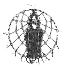 AN 0526 - 528 Christmas shops